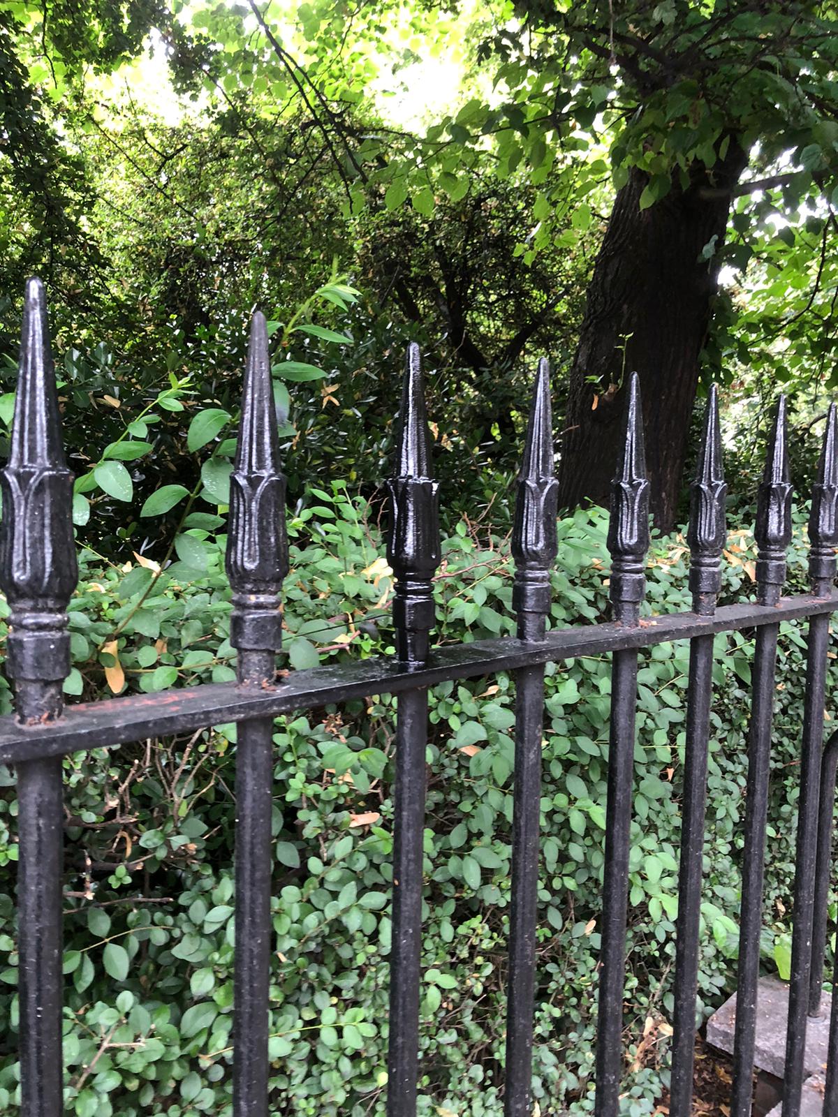 Ornamental iron railings